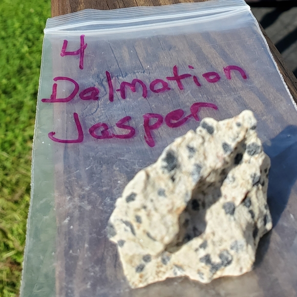 #4 Raw Dalmatian Jasper Gemstone - Picture 6 of 6